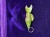 IMG_1204.jpeg