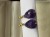 IMG_5886.jpeg