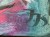 IMG_6907.jpeg