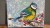 IMG_6923.jpeg