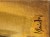 IMG_7291.jpeg