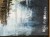 IMG_7285.jpeg