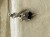 IMG_0209.jpeg